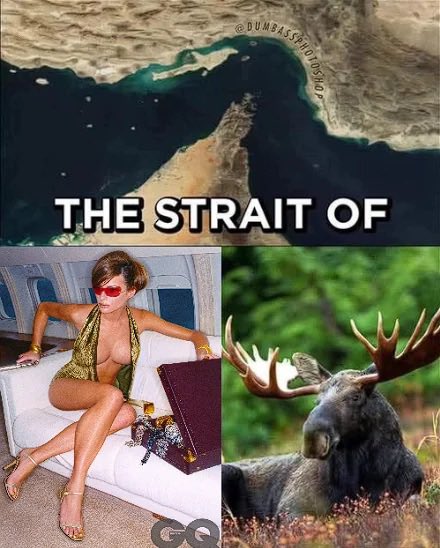 Doodle Dad tweet media