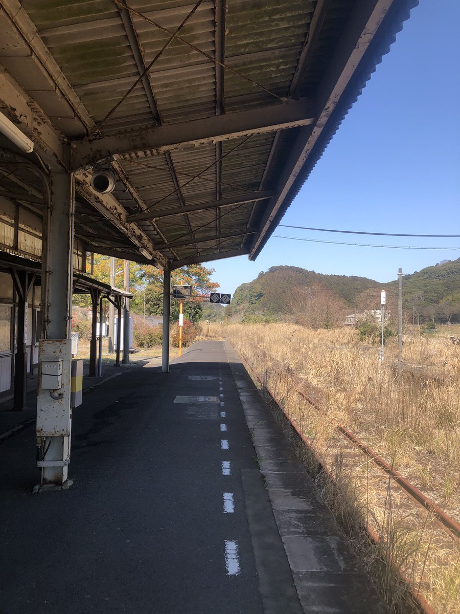 しいなとりで tweet media