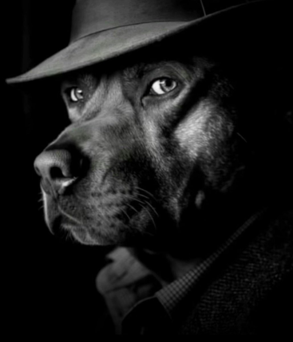 Violator Name tweet media