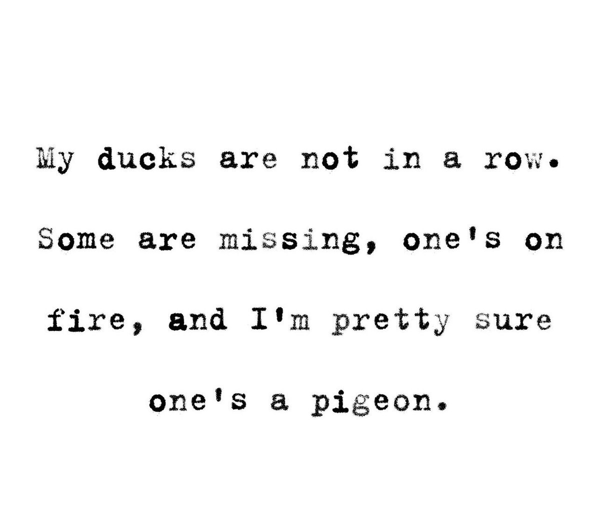 𝐏𝐚𝐥𝐥𝐚𝐯𝐢 tweet media