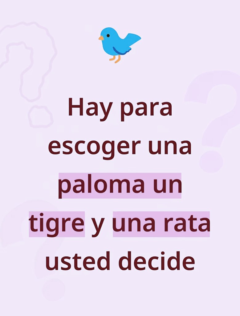 𝓐𝓭𝓻𝓲𝓪𝓷𝓪 tweet media