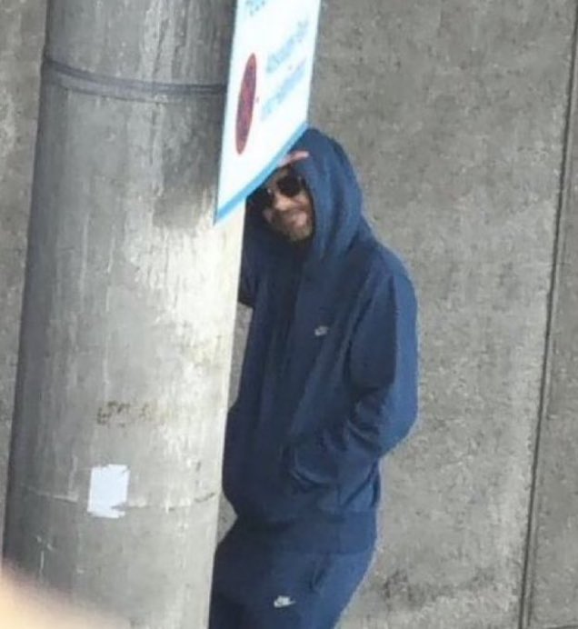 mar 🐶 tweet media