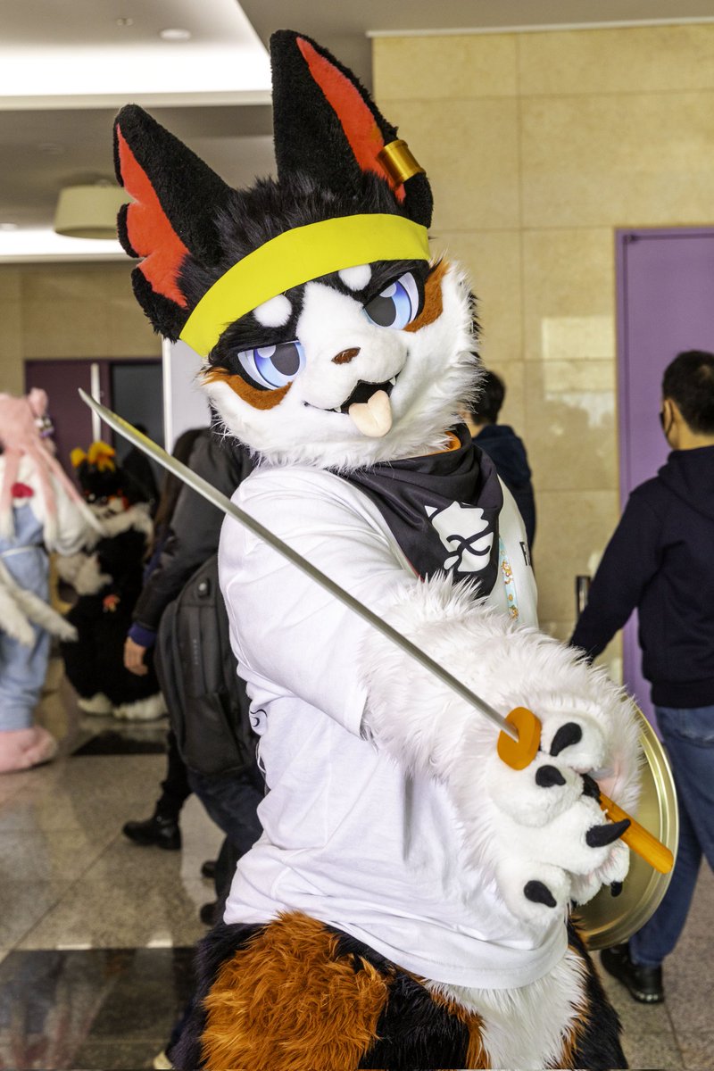 털뭉치앨범🍀 tweet media