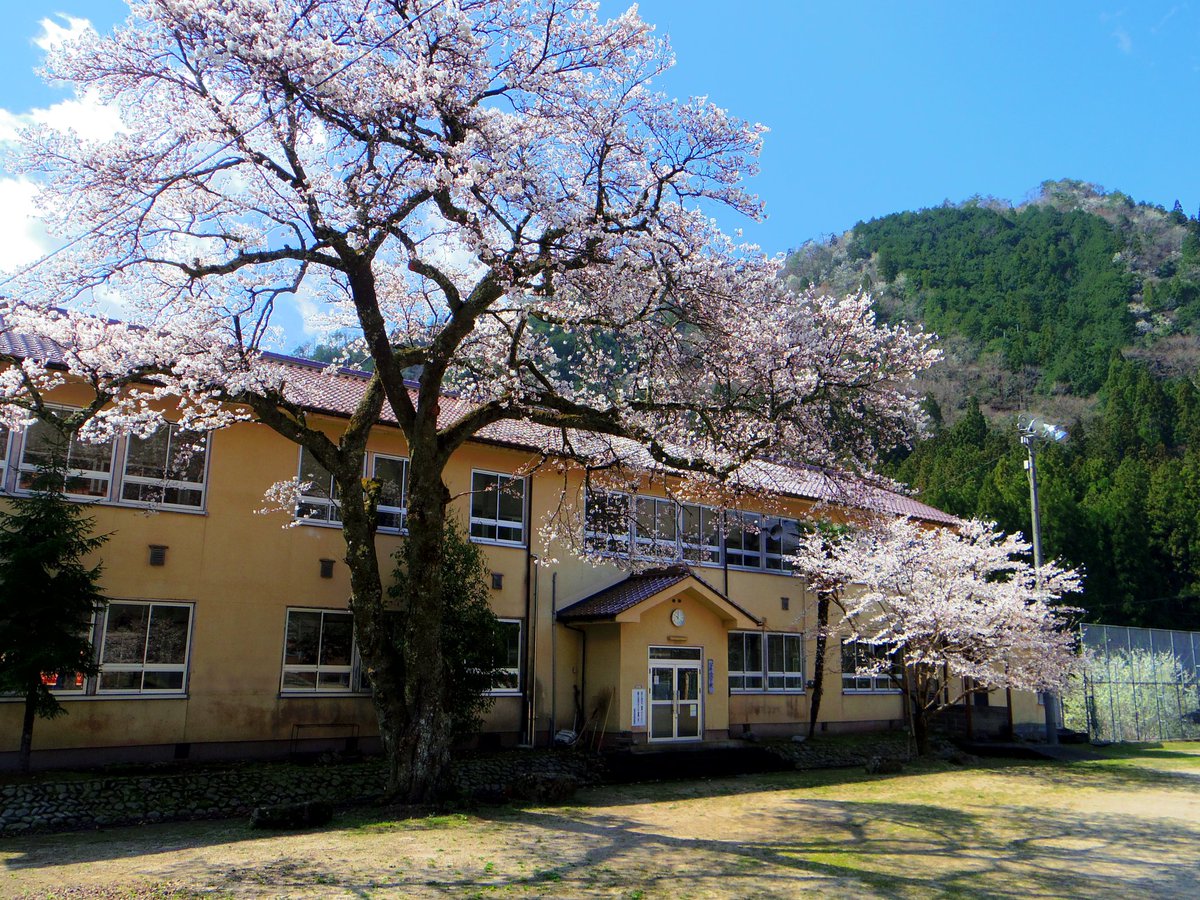 #ひつじ# tweet media