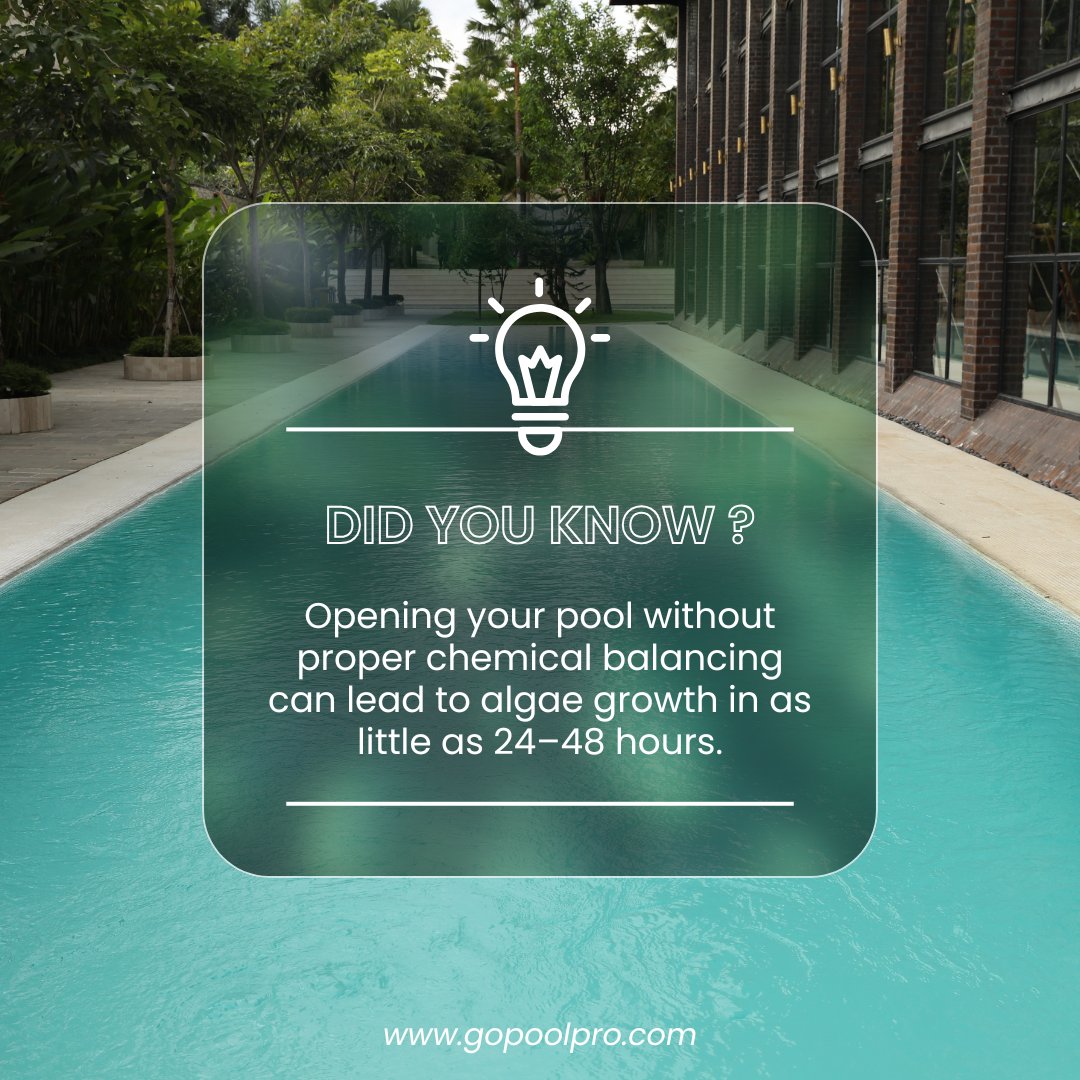 pro_pool7665's tweet image. 💡Did you know?

Algae can grow in just 24–48 hours without proper chemical balancing.

Start your season crystal clear—leave it to the pros!

Book your pool service today at gopoolpro.com
Or call us at +631-256-7665

#poolopening #poolcare #algaeprevention #pool