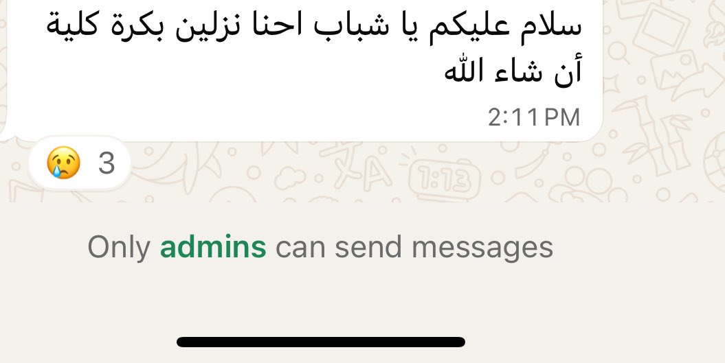 fiona🌷 tweet media