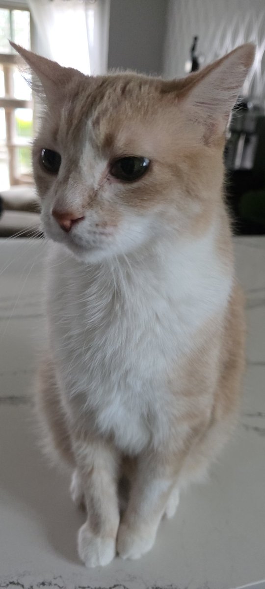 Jennifer tweet media