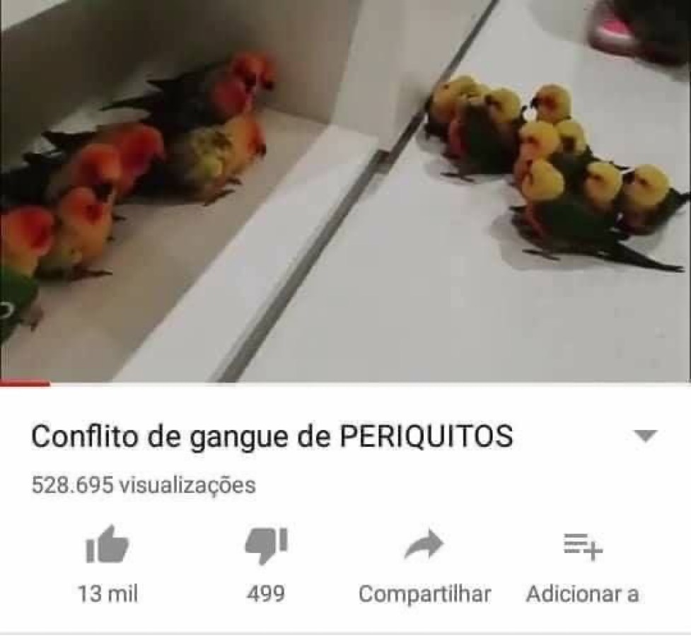 Se você rir, vai pro inferno tweet media