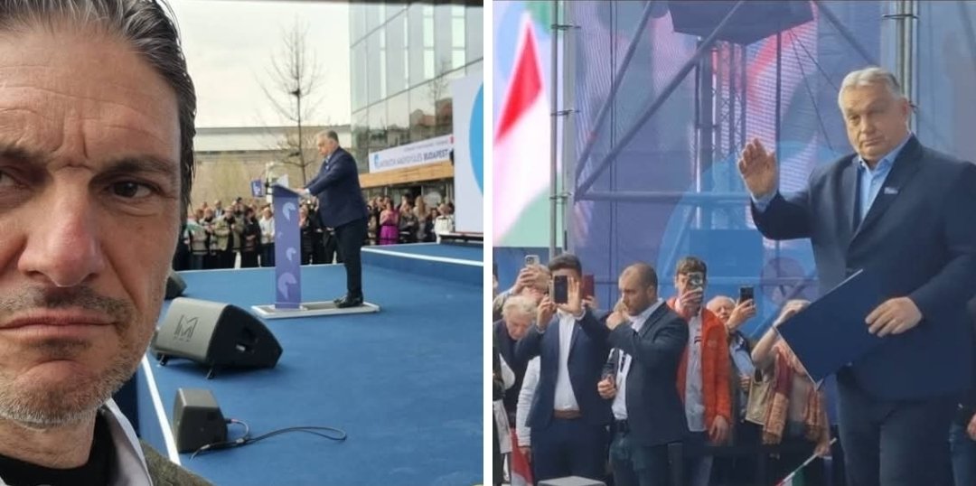 Max Ferrari tweet media