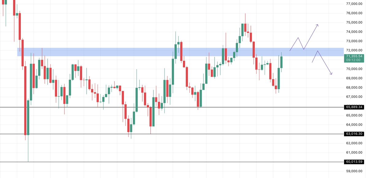 Max Trades tweet media