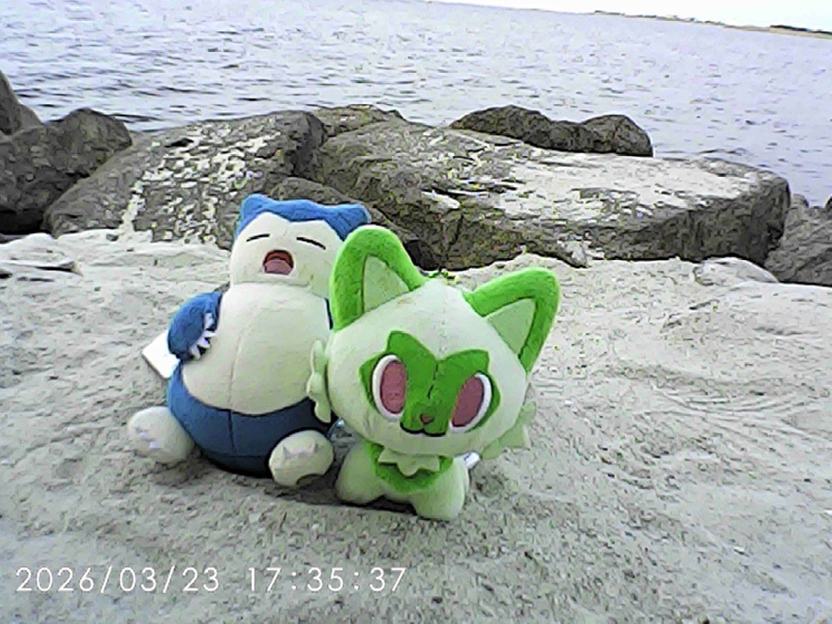 Daphney. tweet media