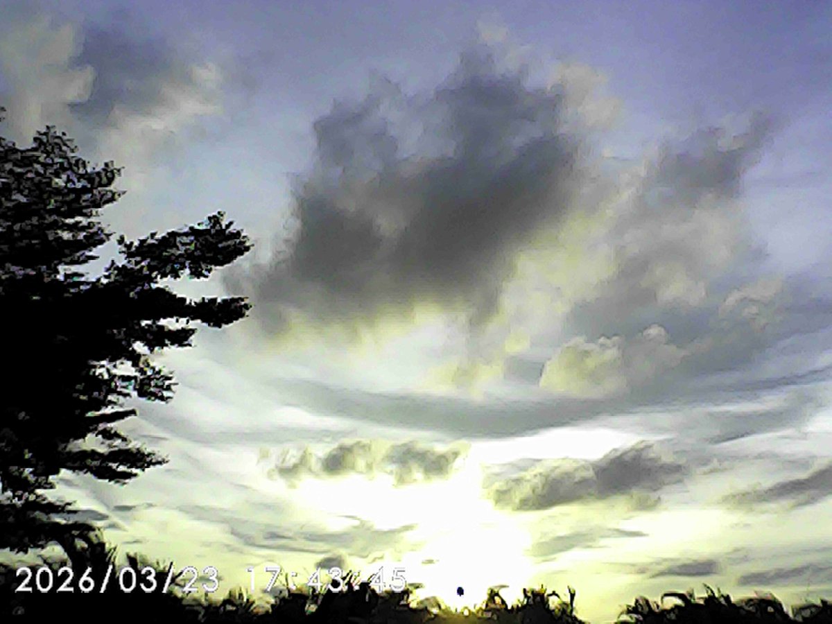 Daphney. tweet media