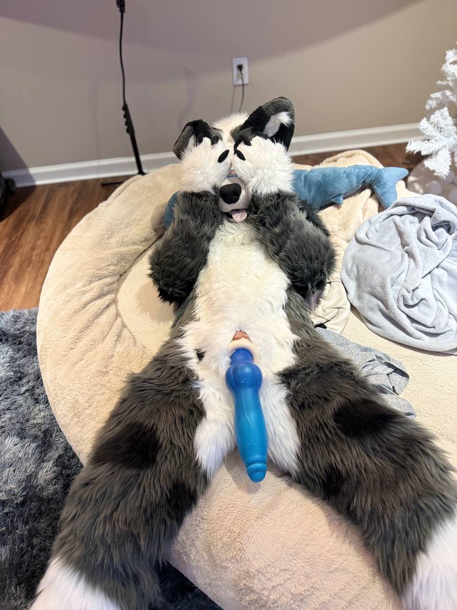 DIOR AFTERBARK 🐶🐾🔜 ?? tweet media