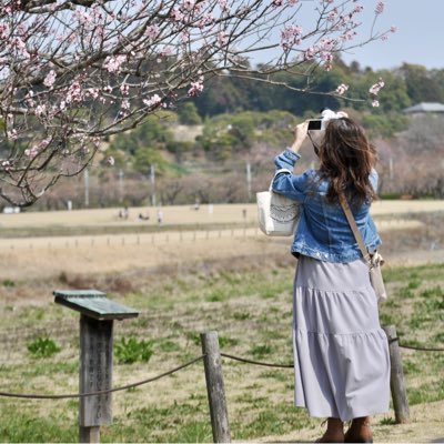 マダム・ピエール・オジェ tweet media