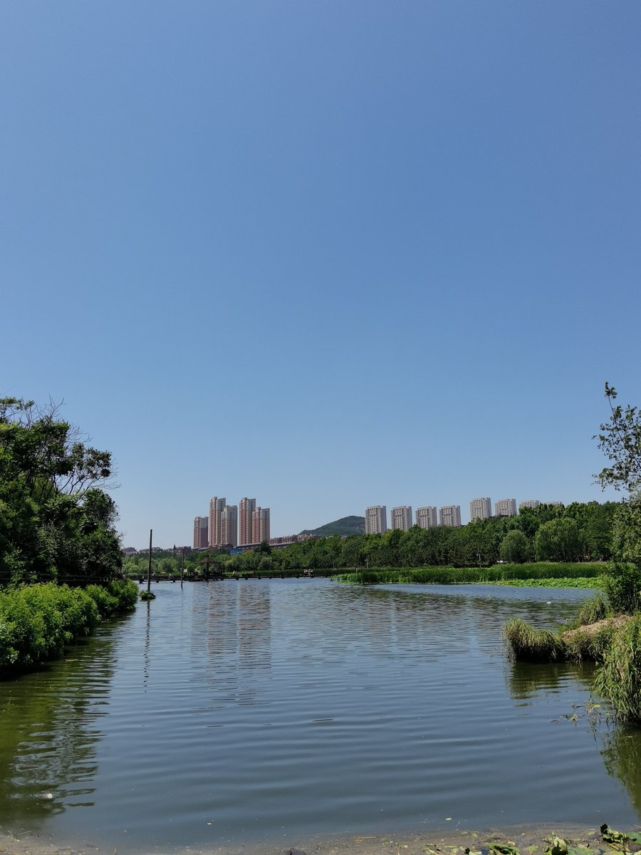 Wolfgang Lampe tweet media