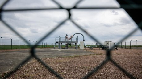 REF_INFO tweet media