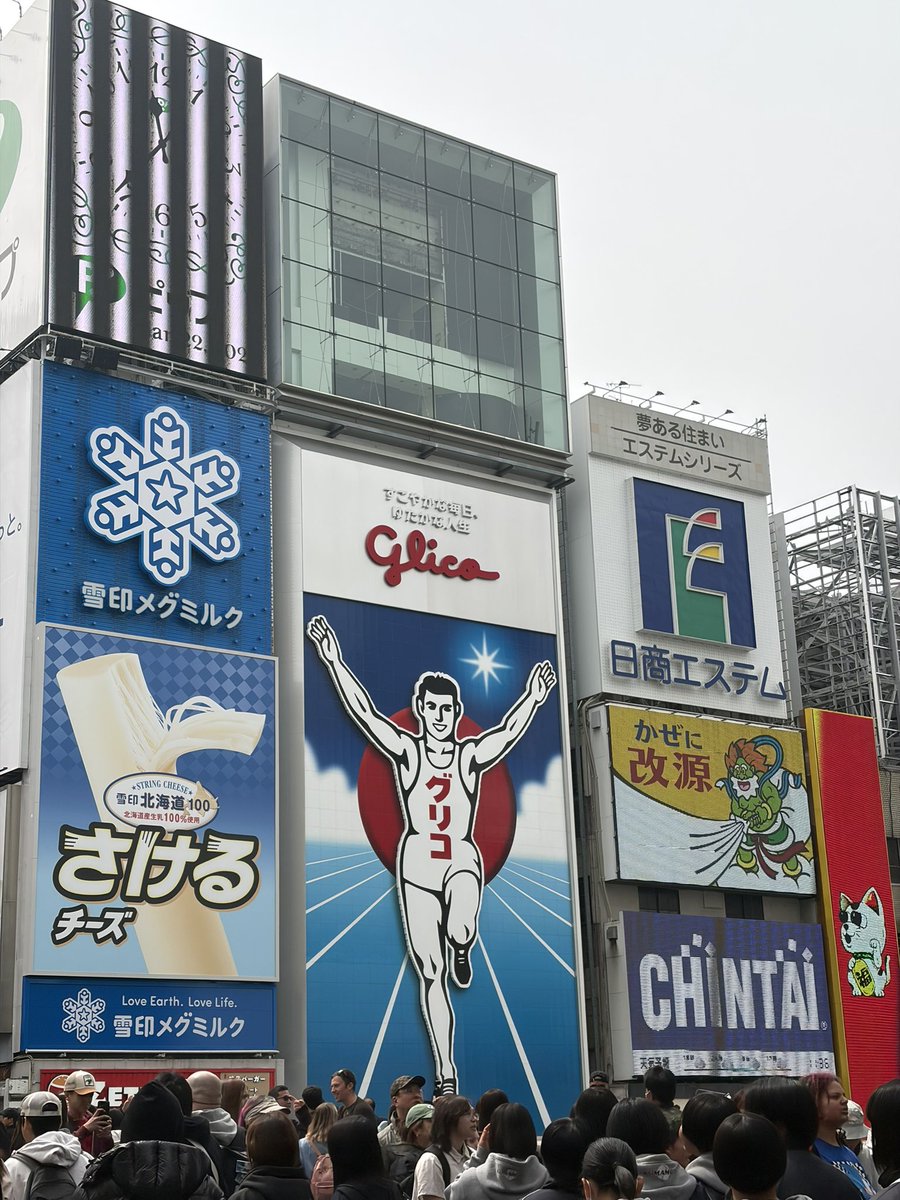 ニシェートラ tweet media