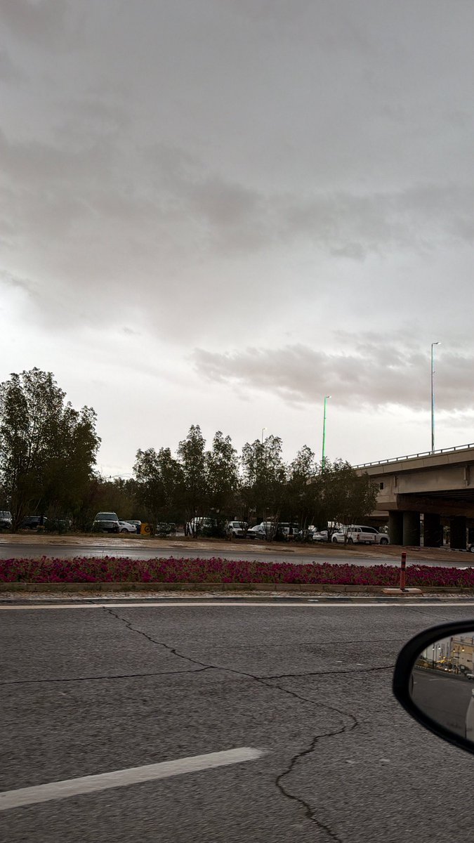 محمد tweet media