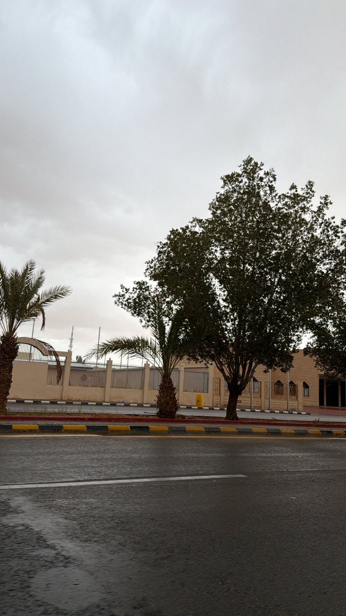 محمد tweet media