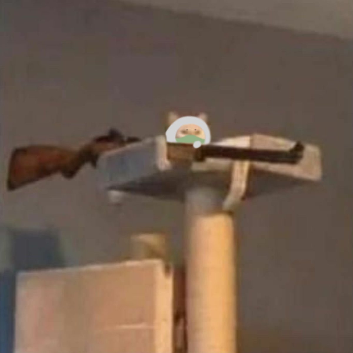 Red_Kill tweet media