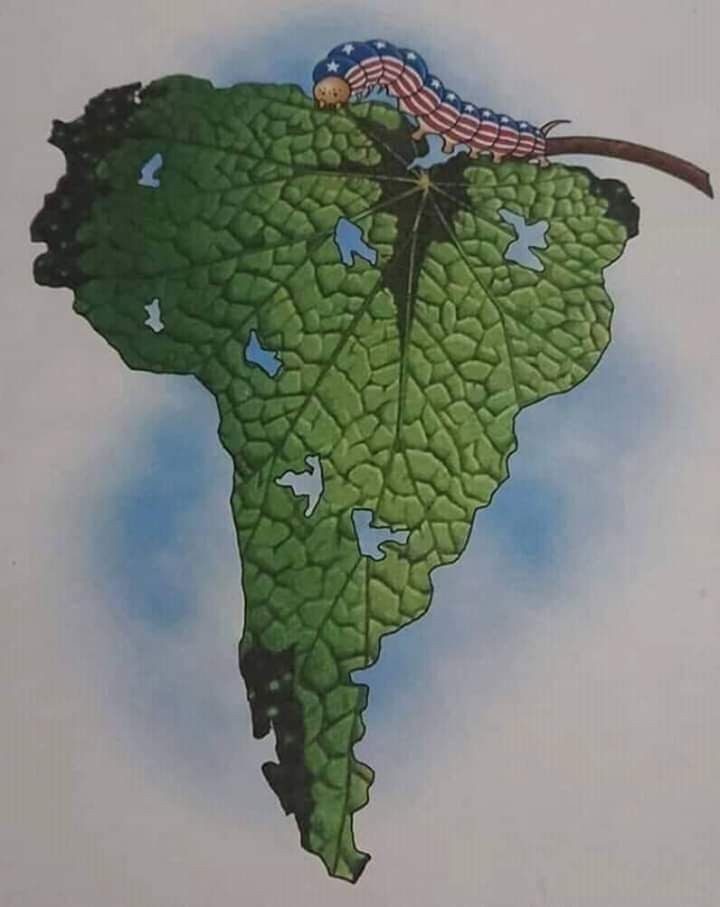 Nova Resistência 🇧🇷 tweet media