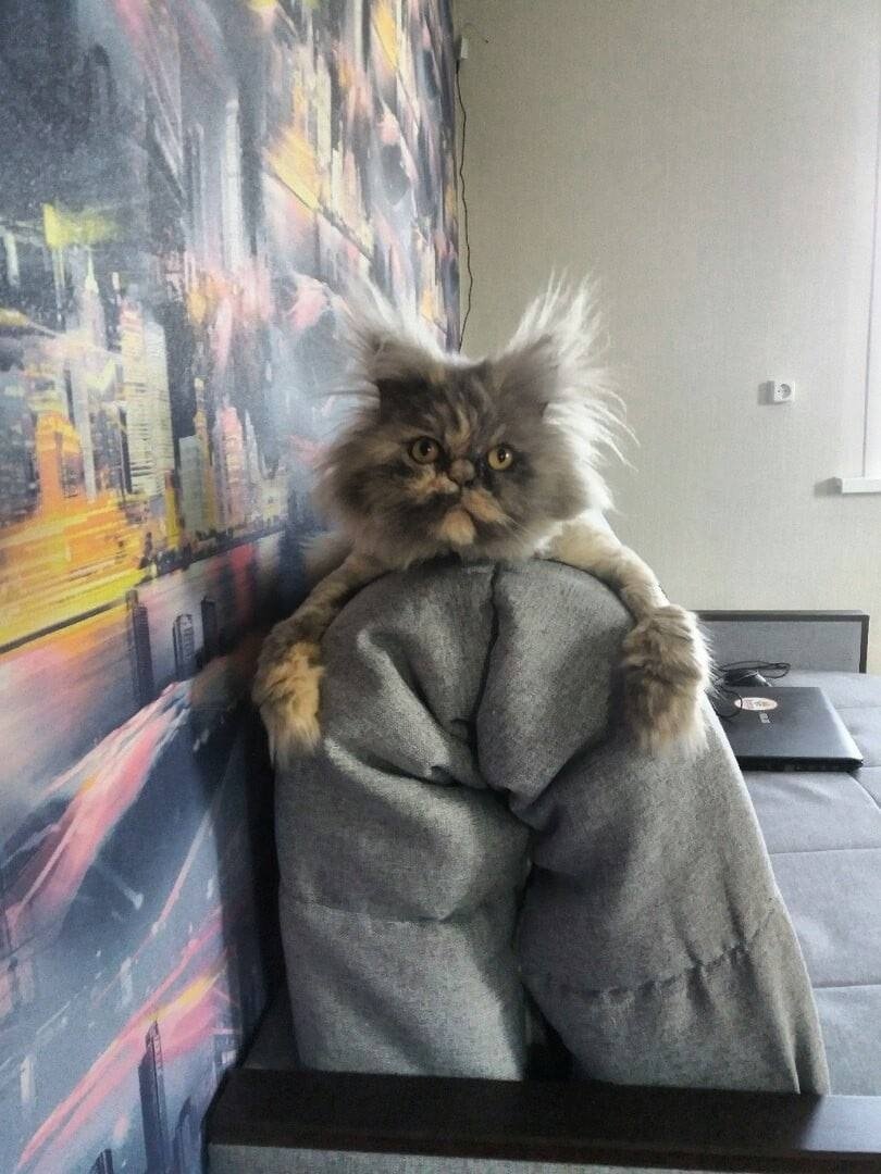 ♥️♣️Сергей Владимирович♠️♦️™ tweet media