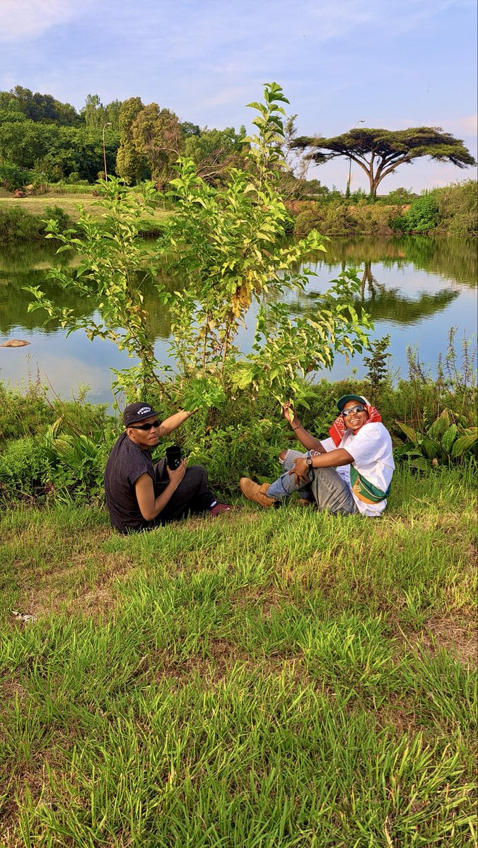 El Presidente tweet media