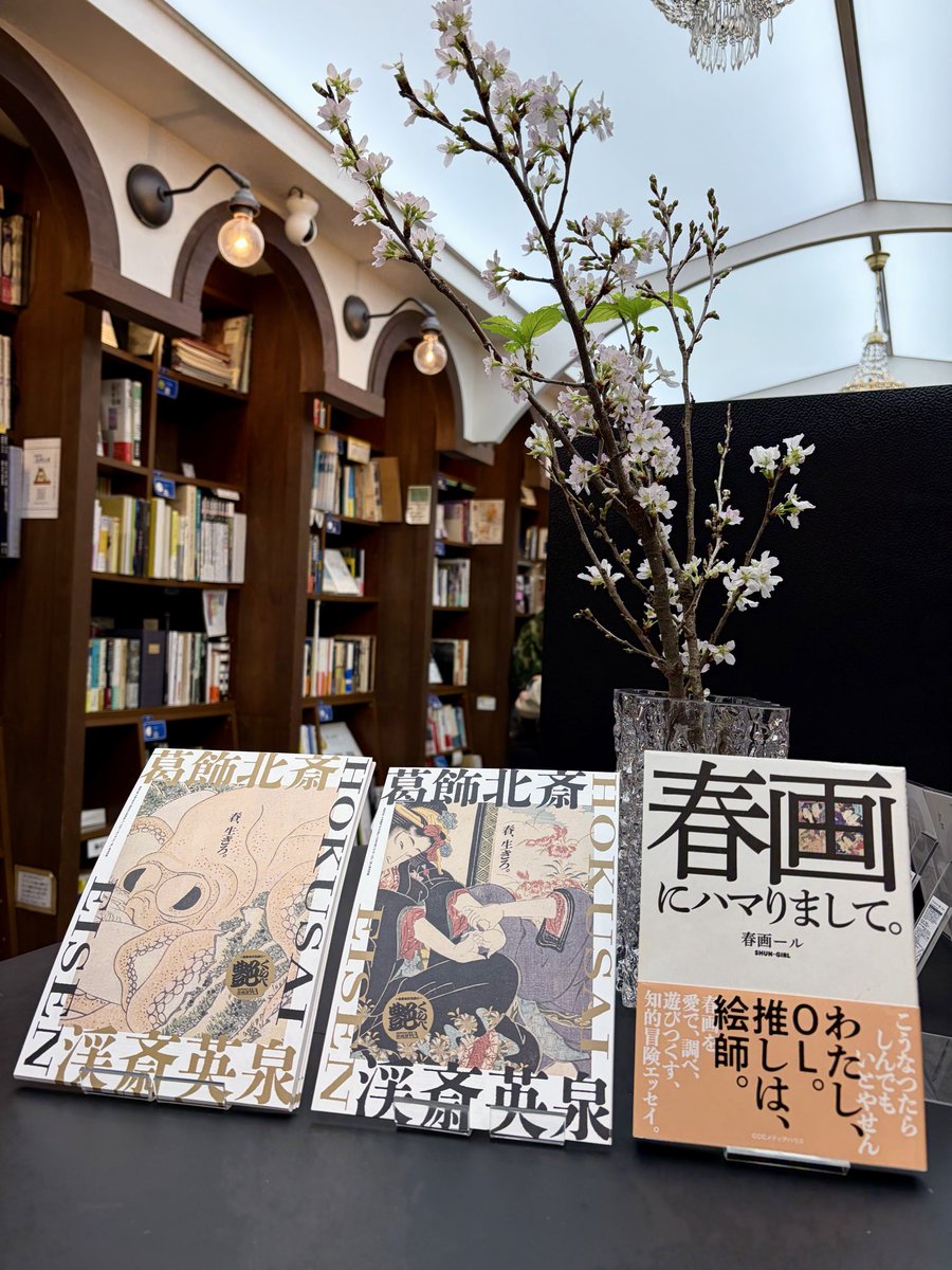 かとう|かごでどこでも tweet media