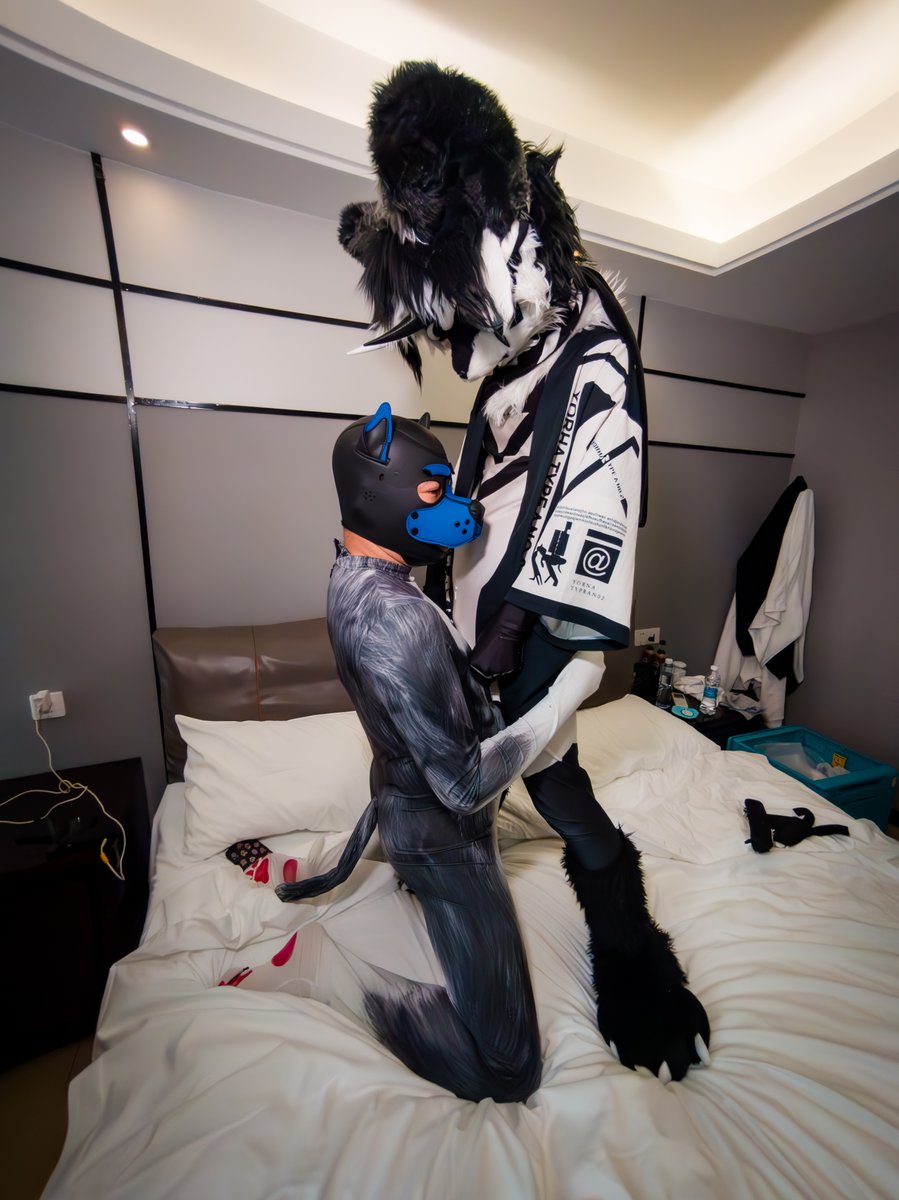 FrostAD6's tweet photo. #MurrsuitMondays
和 @m0gdhaccGk21350 的合照 https://t.co/x3FgO3XlWV