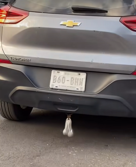 El Rob 𝐗 tweet media