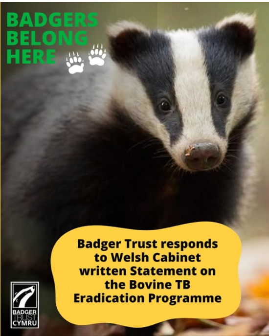 Amelea Teckel tweet media