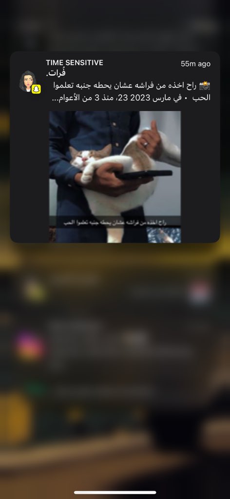 فُرات tweet media