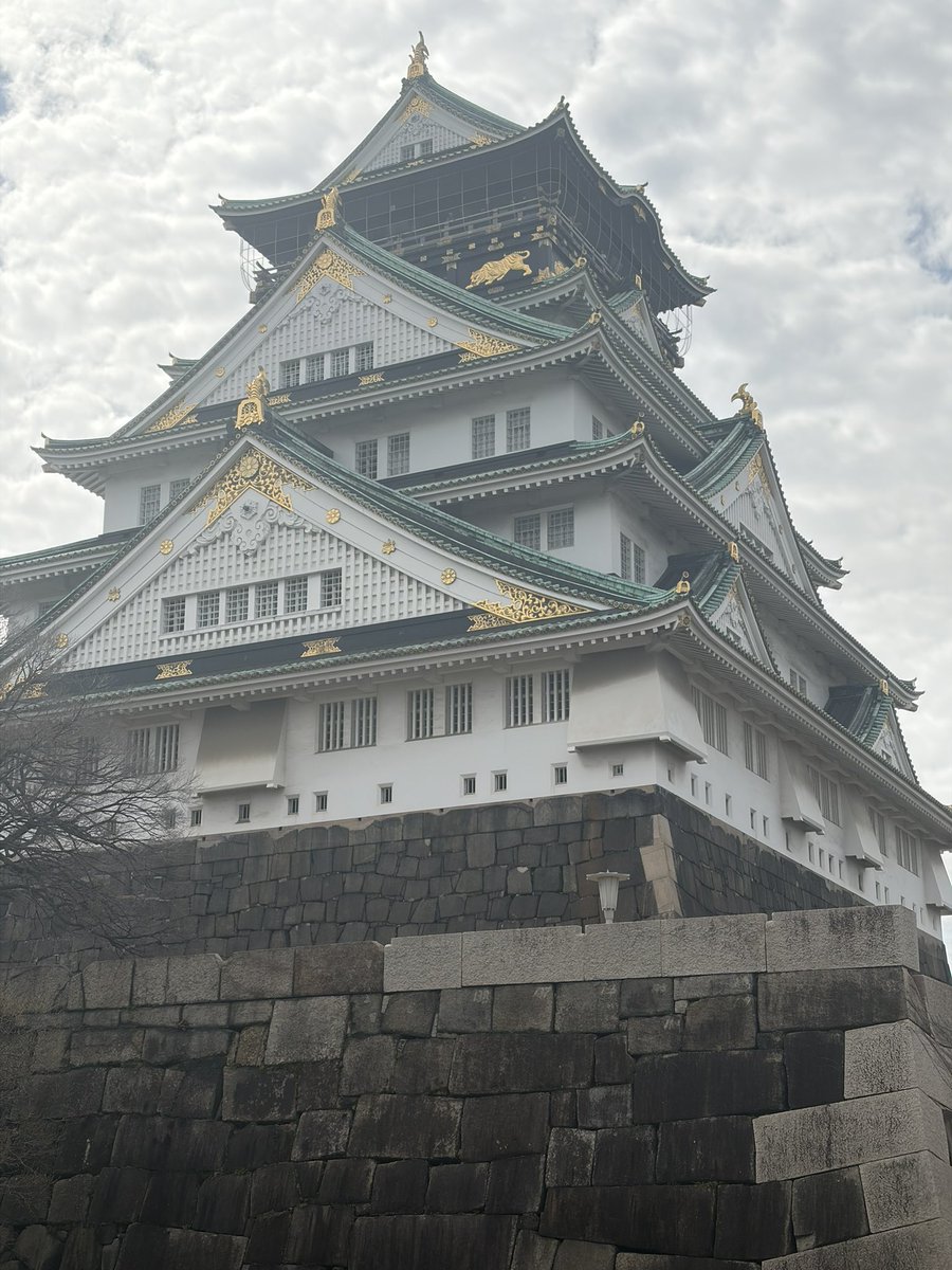 ニシェートラ tweet media