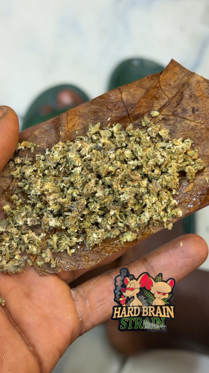 Hard brain 🧠 Strain 🌳 tweet media