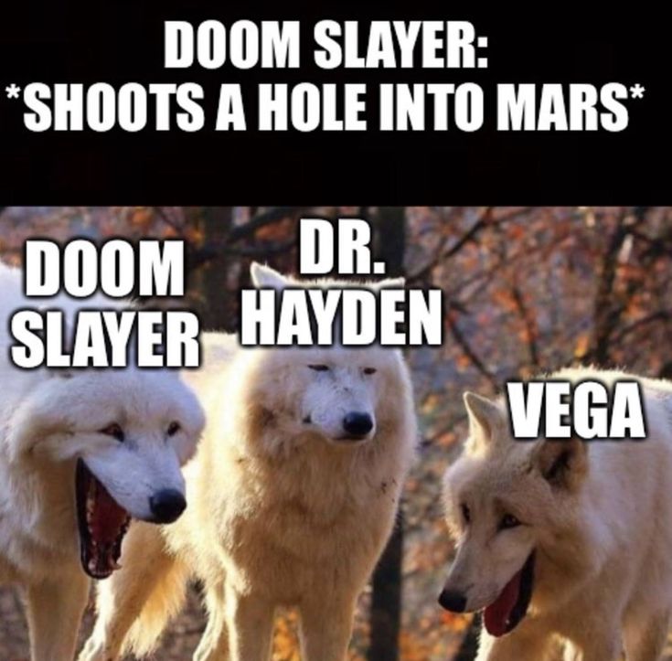 anarco_slayer's tweet photo. https://t.co/BU95lRTT38
