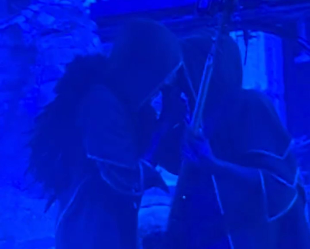 corv𝄞 seal 🦭 tweet media