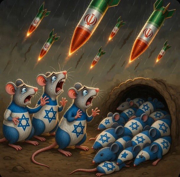 Parados en la Niebla tweet media