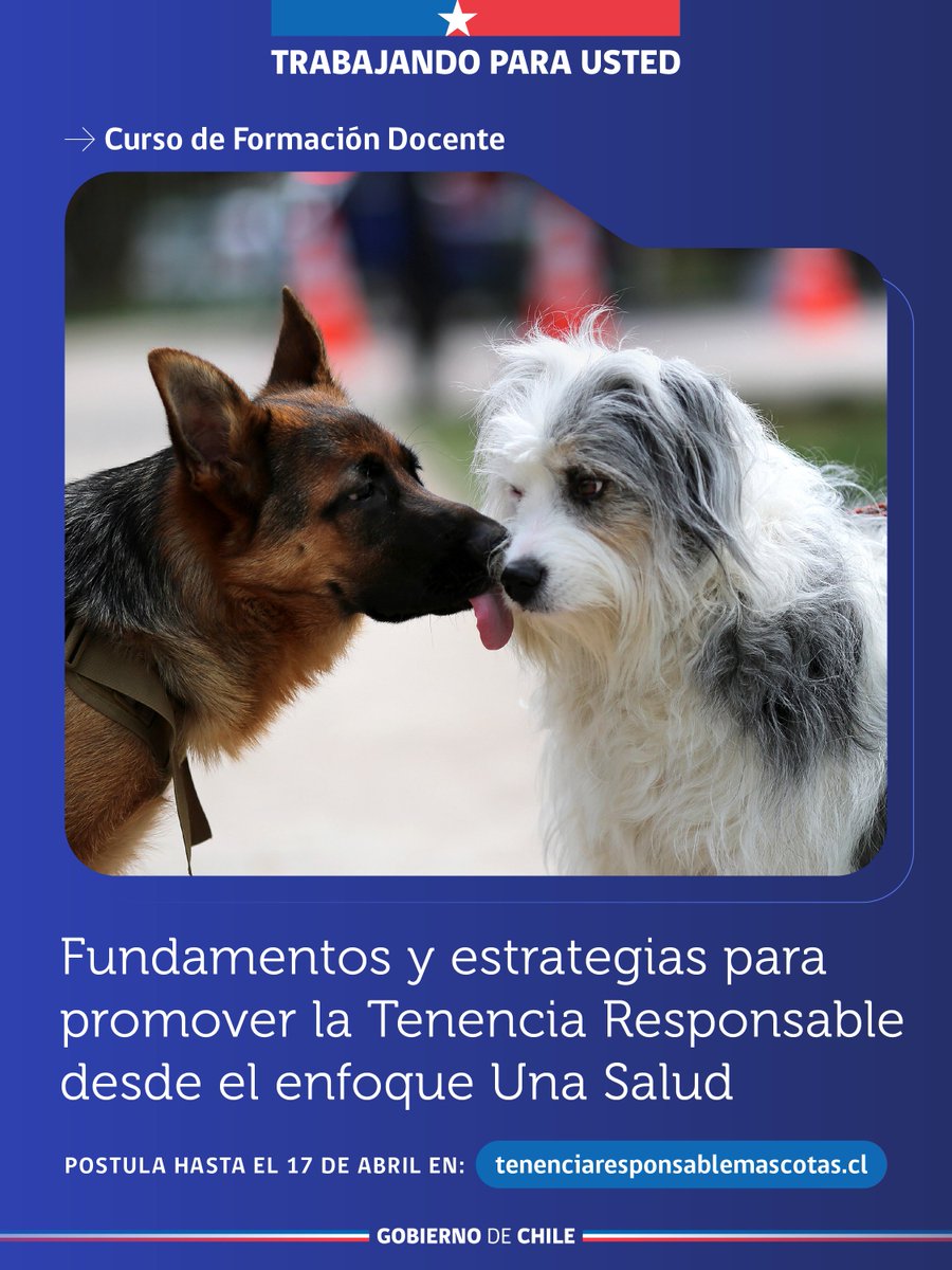 Tenencia Responsable tweet media