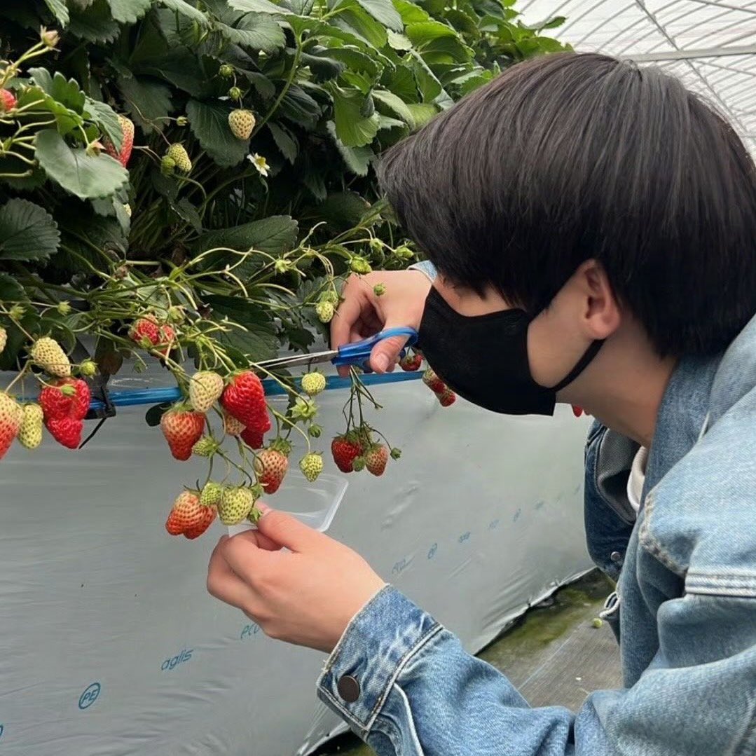 SillyBlare tweet media