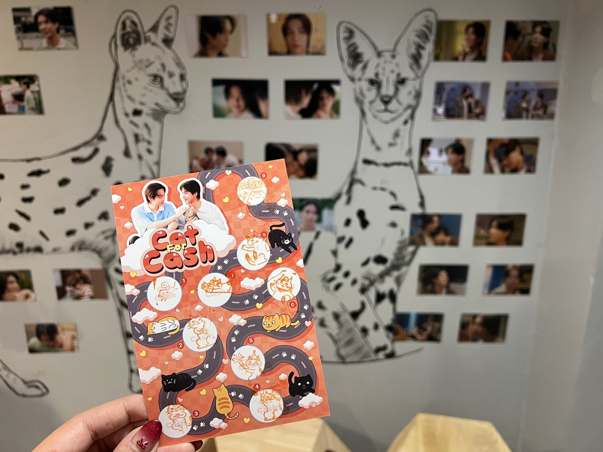 Sha 🐈🐈‍⬛ tweet media