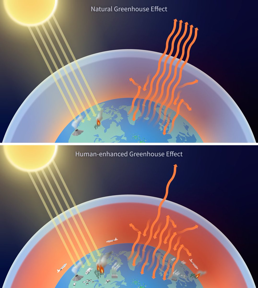 YELM COMMUNITY BLOG tweet media