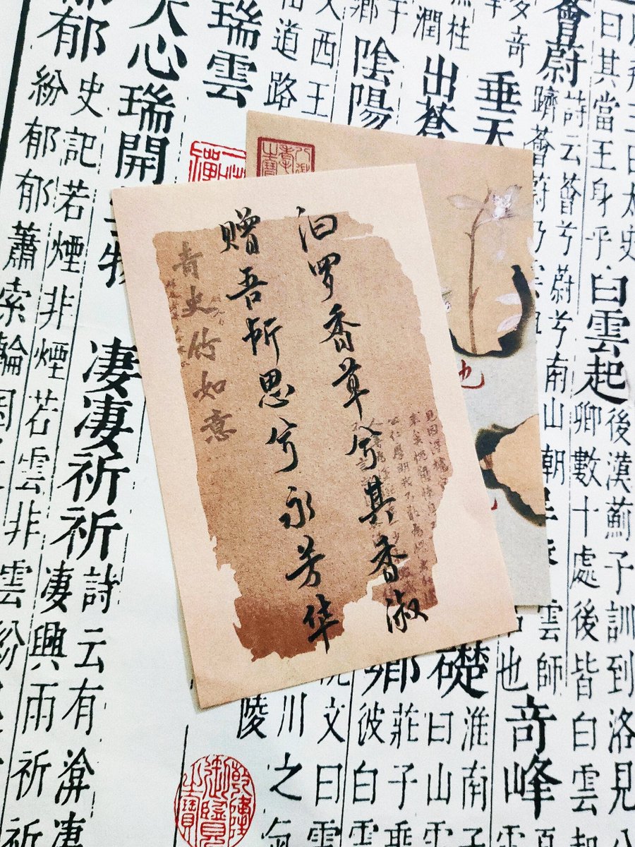 sofia mota tweet media