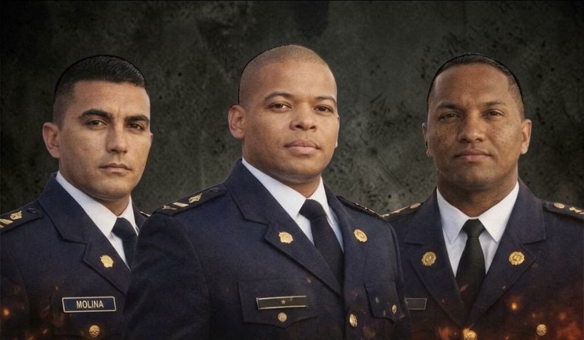 Thelma Fernández tweet media