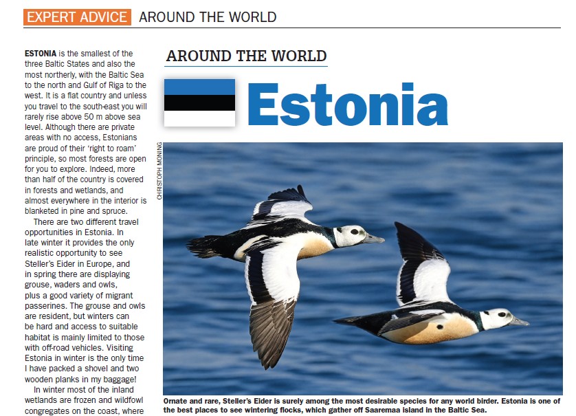 Read my profile on Estonia in the latest issue of <a href="/BirdwatchExtra/">Birdwatch</a>  - out this week