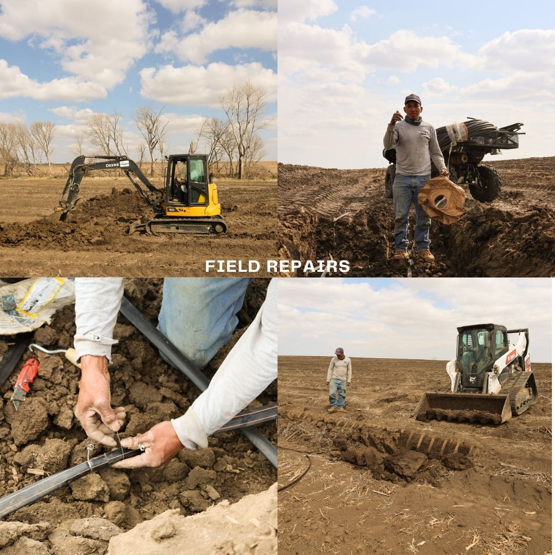 NutraDrip tweet media