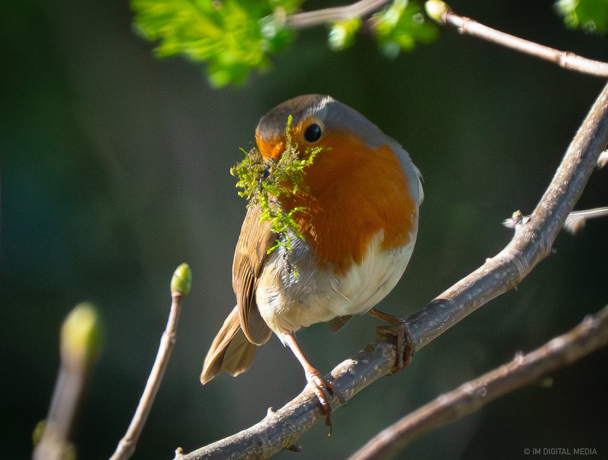 UK Photoshoots. tweet media