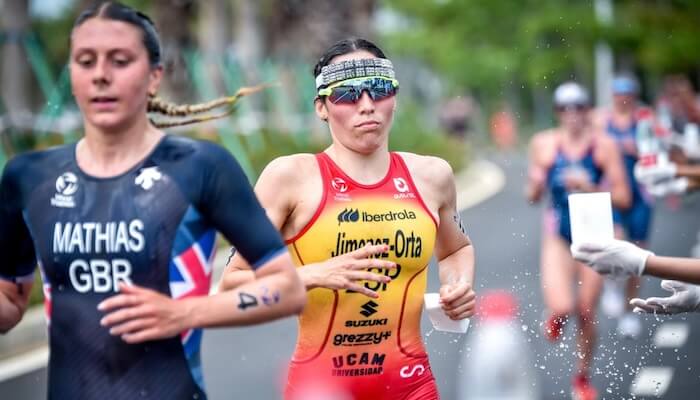 VisibilitasCom tweet media