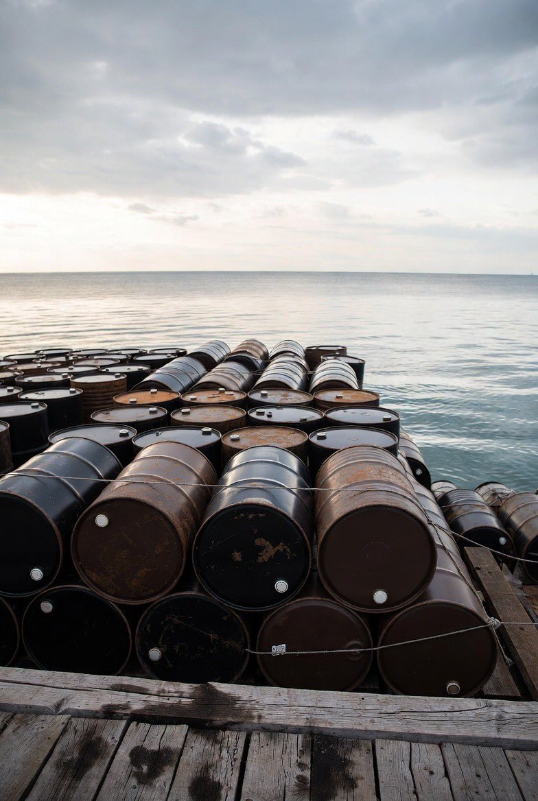 Crypto Rover tweet media