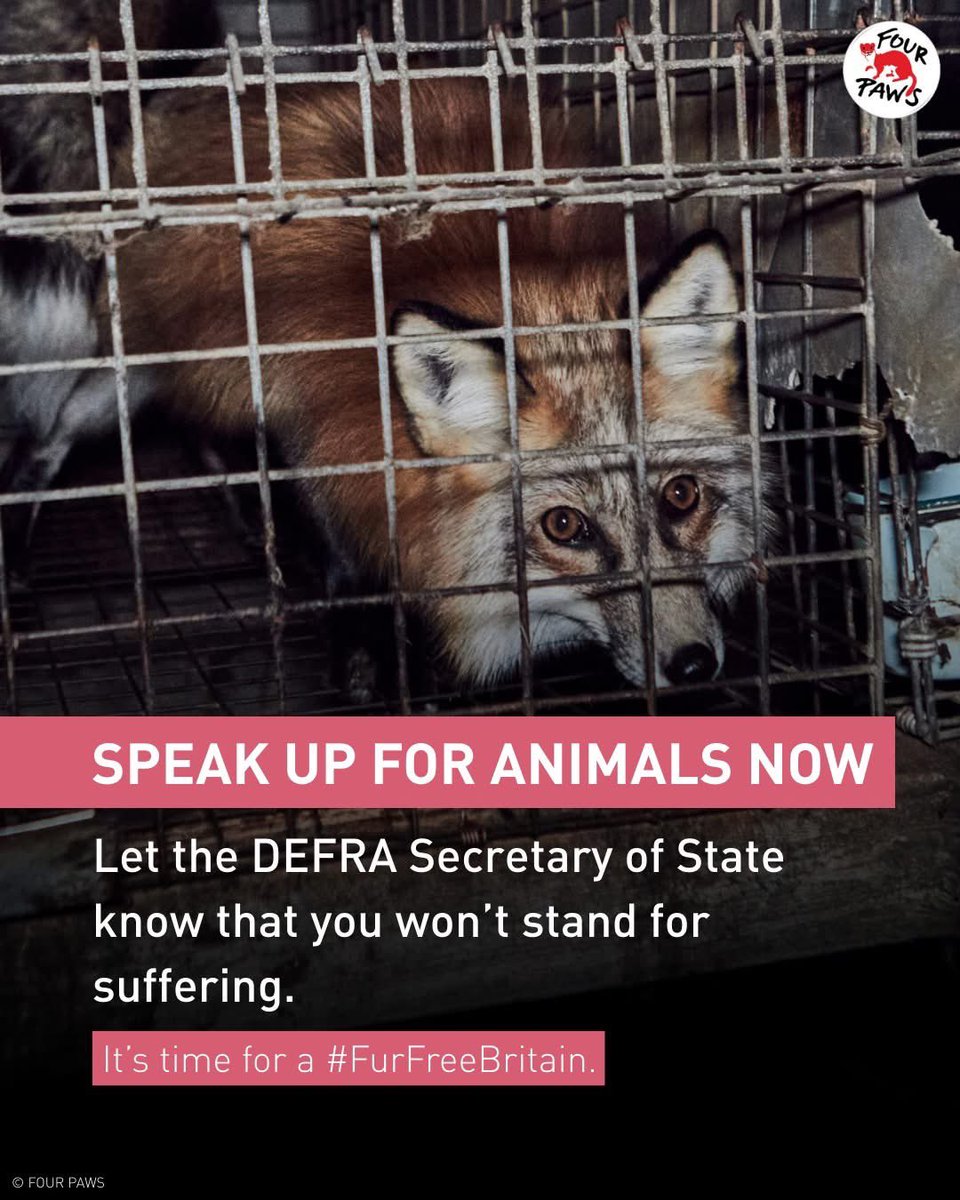 domdyer70's tweet photo. We are a nation of animal lovers. The UK was the first country to ban fur farming. But, more than two decades later, we’re still waiting to celebrate a true #FurFreeBritain 🦊.

Millions of beautiful wild animals suffer in cages on fur farms, waiting in fear until they become nothing more than a bobble on a hat or a trim on a jacket 💔. They cannot wait any longer for change.

Please take two minutes to email the DEFRA Secretary of State and urge her to confirm that fur is out of scope in UK-EU reset negotiations. 👉 https://t.co/VkOgf4sYuz

Animals cannot risk more barriers to a #FurFreeBritain.