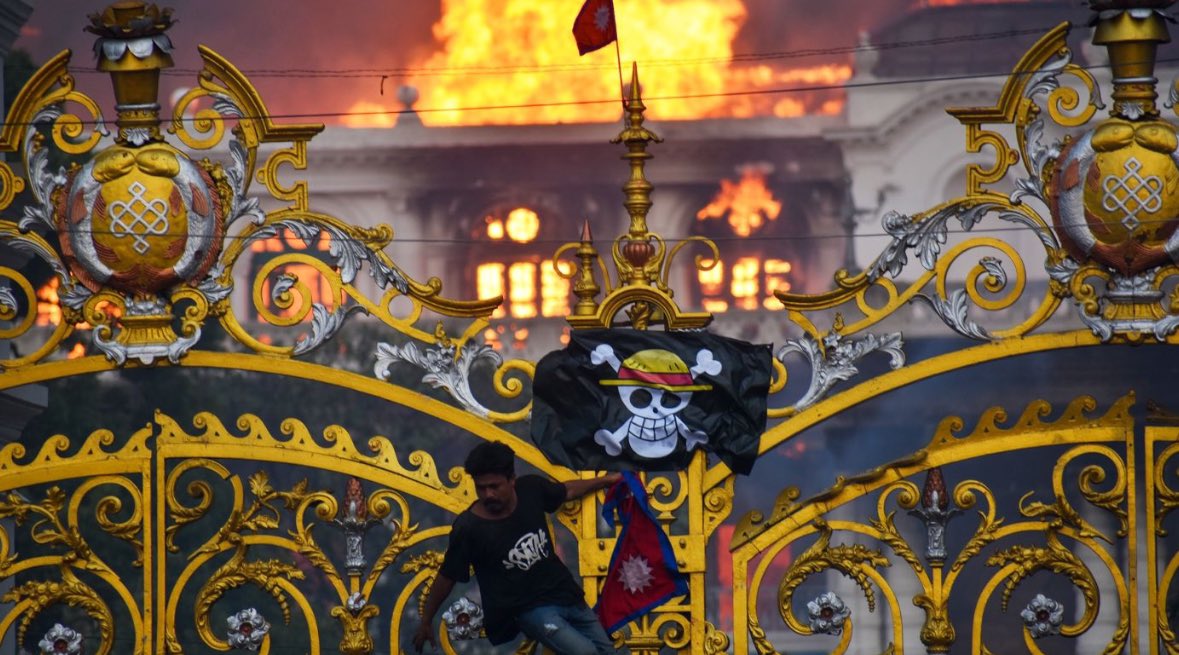 monkey D dorky 👾 tweet media